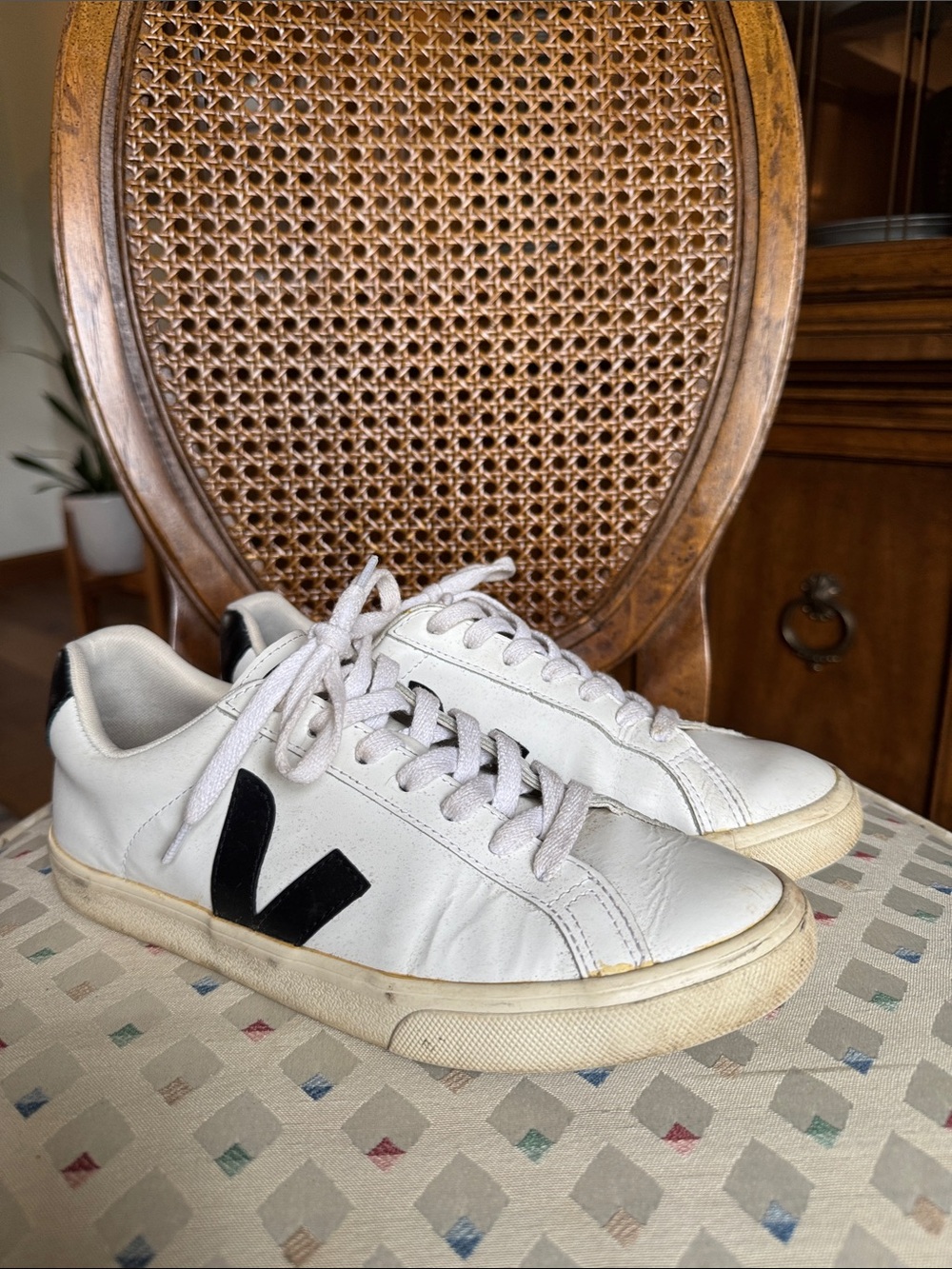 Veja White Sneakers with Black V Accent